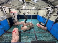 경상국립대학교 SSSL(동물연구)