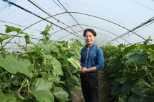 “시장과 소비자가 찾는 슈퍼오닝 애호박”