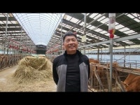 치유되는 공간, 순창의 최경만 한우 농장