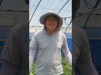 더드림(주) 기능성 노란 수박