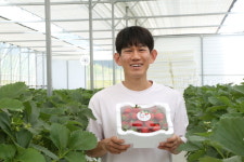안성 여름 딸기, 안효태 청년농업인