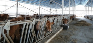 한우산업지원법 제정․공포