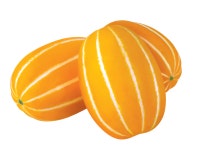 팜한농 9월 추천 종자, 굿모닝꿀참외