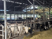 가축분뇨, 커피박과 만나 친환경 연료