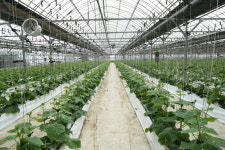 <편집장의 글> 농업의 계절근로자, 확대 필요성과 개선 과제