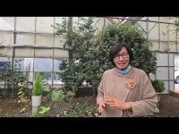 사계절 즐길 수 있는 치유농장