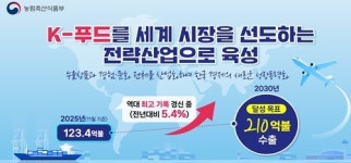 케이(K)-푸드, 2030년 ‘수출 210억불’ 시대 연다