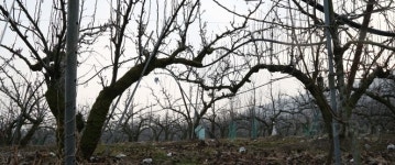 화장실, 주차장 등 농작업 편의시설 농지에 설치