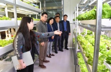 전남농기원, 기후변화 대응 ‘첨단 수직농업 연구센터’ 개소