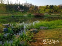 신록으로 가득찬 인천 연희공원