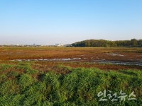 신록으로 가득찬 인천 연희공원