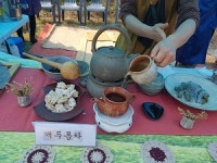 문갑도 마을공동체영농조합법인, 개두릅축제 견학