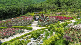 계양구, 계양산 장미원 등 도심속 힐링여행