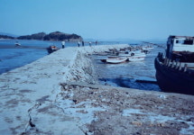 서부길 작가의 수필 세어도를 아시나요