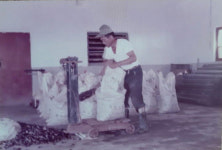 서부길 작가의 수필 조 개 탕