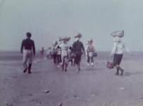 서부길 작가의 수필 조 개 탕