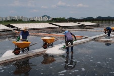 서부길작가의 소금
