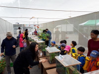 나비 친구들과 함께 놀자 부평 인천나비공원, 가을 나들이 마련