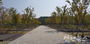 청라 해변공원 캠핑장 다음달 28일 오픈