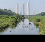 연수구, 관리권 이관 승기천 명품하천 만든다