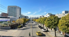 올해 인천시 최우수 특화가로, 동구 동산로 선정