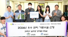 인천 부평 길주로 양버즘나무길, 산림청 우수관리 가로수길 선정