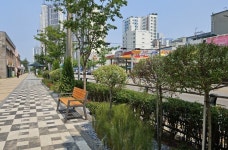 미추홀구, 인주대로·매소홀로 일대에 도시 바람길 숲 2개소 조성
