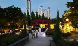 인천시설공단, 송도해돋이공원 장미꽃과 조명이 어우러진 밤의 정원