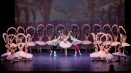 인천예술고등학교, 제28회 무용과 정기공연 예술혼의 찬란한 비상