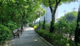 미추홀구, 미추홀대로 가로수벽 정비 완료 새 단장