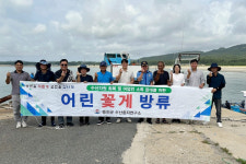 인천 옹진군 수산종자연구소, 백령·대청 해역에 어린 꽃게 40만 마리 방류