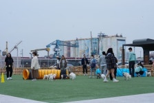 인천관광공사, 상상플랫폼 첫 반려견 동반 문화행사 개항장 댕댕 도서관 성료
