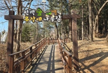 [인천 도심정원 무장애길을 걷다④] 도심 속 이색 치유 공간, 남동구 늘솔길공원 편백나무숲 