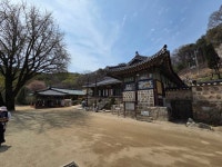 [강화 천년 고찰 혼을 깨우다 ②] 진달래 인파 비켜 선 산중 적막…백련사, '흰 연꽃 전설' 현장을 걷다