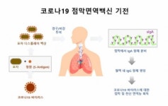 제노포커스 코로나19 점막면역백신 개발 컨소시엄 구성