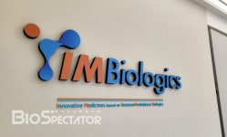 아이엠바이오, ‘OX40LxTNF’ 이중항체 “美1상 IND 신청”