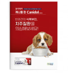 동국제약, 반려견 치주질환 치료제 캐니돌 정 출시