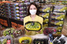 홈플러스, 20일까지 포도 페스티벌 행사