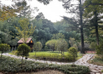 산림청, 다니고 싶은 우수 학교숲 6곳 선정