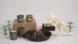 자연에버리다, 커피 찌꺼기 활용한 친환경 교육용 키트 출시