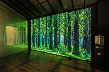 SKT, 한 달간 미디어아트 작품 동행 전시