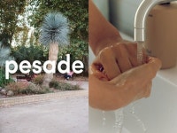 향수 앤 라이프스타일 뷰티 브랜드 페사드 출시