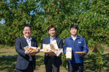 SPC 파리바게뜨, 경산 대추농가 돕기 나서