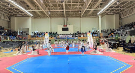 대학국가대표시범단, 삼국통일 김유신 주제로 시범 선보여