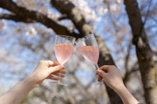 이랜드파크, 켄싱턴호텔앤리조트 봄 피크닉 테마 패키지 출시