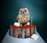 더 리버사이드 호텔, 5월 행운을 상징하는 부엉이 케이크 출시