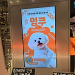 멍쿠, 광주 롯데백화점 팝업 오픈…청주·부산 이어 KCIA 소비자산업평가 선정