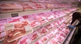 아프리카돼지열병 확산…돼지고기값 또 상승세