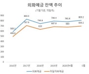 5월 외화예금 증가…기업 외화 예치가 늘어난 것이 배경