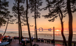 아일랜드 리솜, “선셋 바라보며 언택트 콘서트 즐겨요”